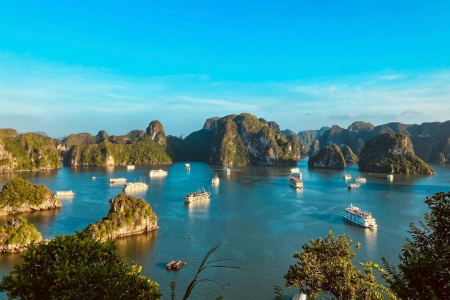Best of Vietnam Family Tour 12 Days