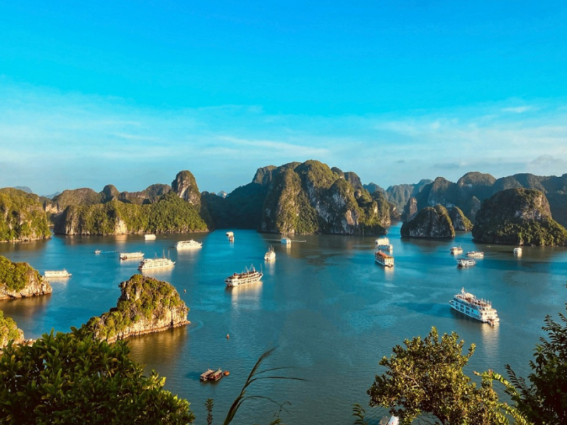 Best of Vietnam Family Tour 12 Days