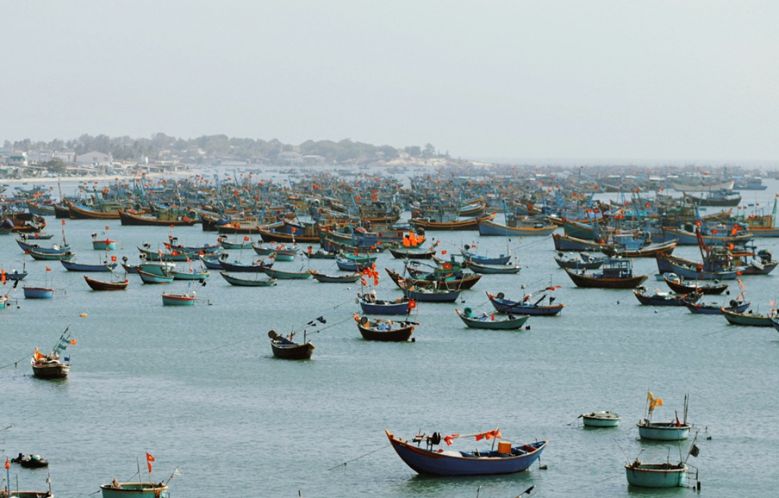 Vietnam in Depth 17-Day Tour